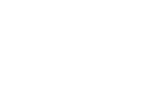 PDO Max thread lift